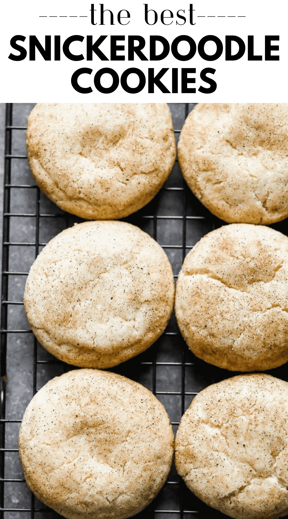 SnickerDoodle Cookie