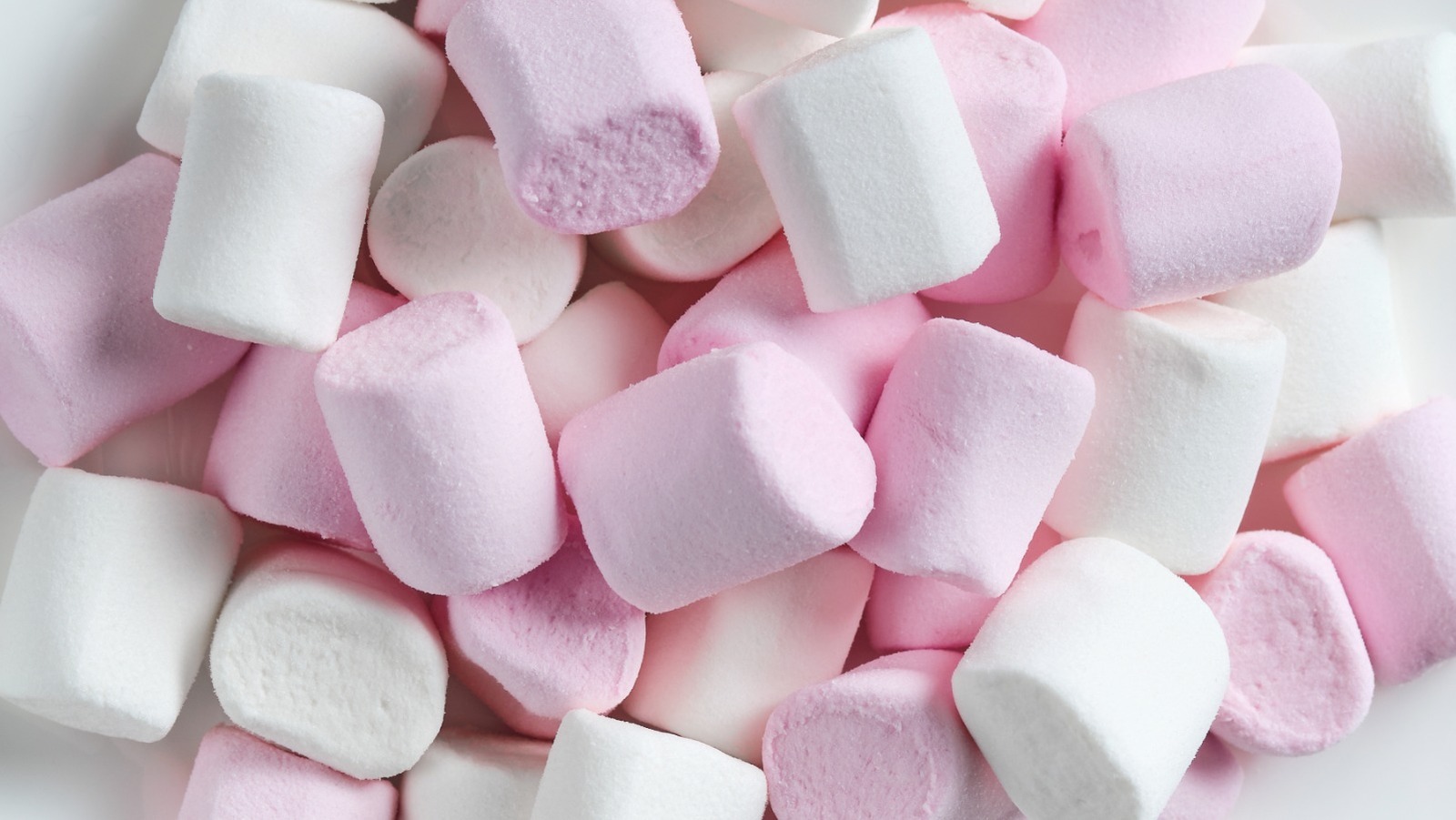 ストーブでマシュマロを溶かすための絶対的な最高のヒント