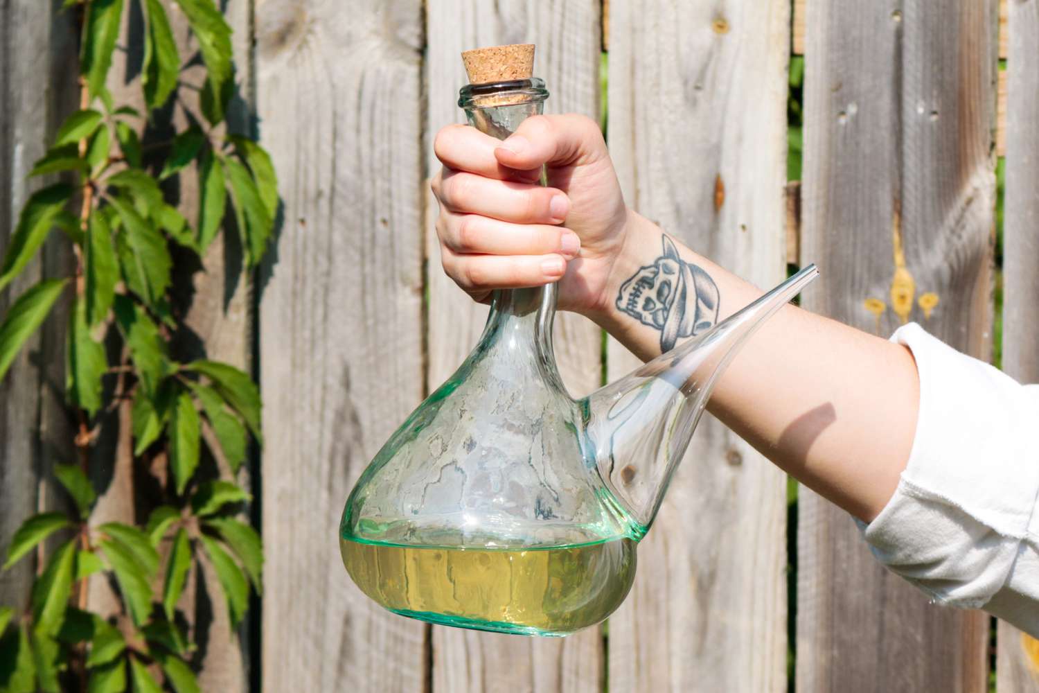 ポロンがあなたの人生に必要な飲み物の容器である理由